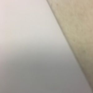 Meet your Posher, Lola